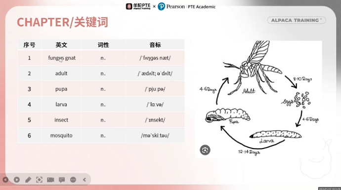 PTE口语DI例题关键词提取 PTE口语DI例题关键词提取
