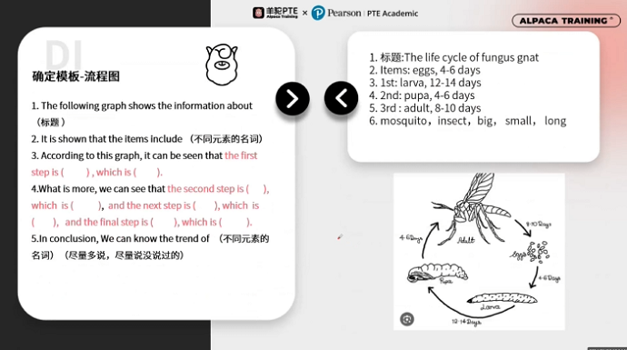 PTE口语DI例题模板使用 PTE口语DI例题模板使用