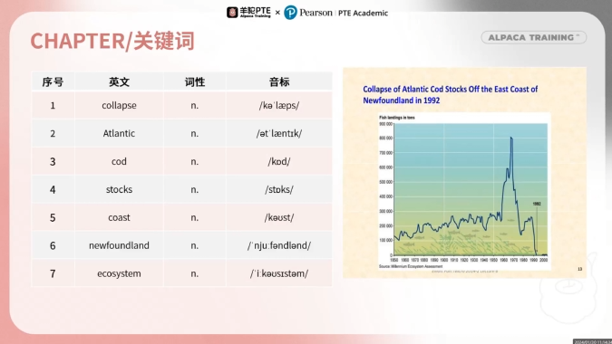 DI数据图关键词提取