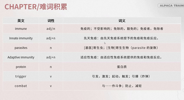 第一部分：生难词