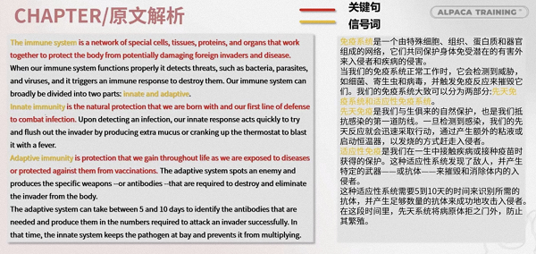 第二部分：分段