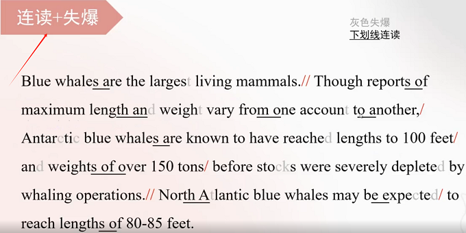 PTE口语RA讲解：Blue whales