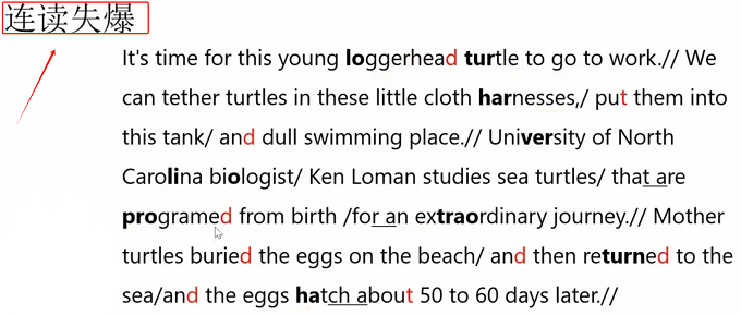 PTE口语RA讲解：Sea turtles