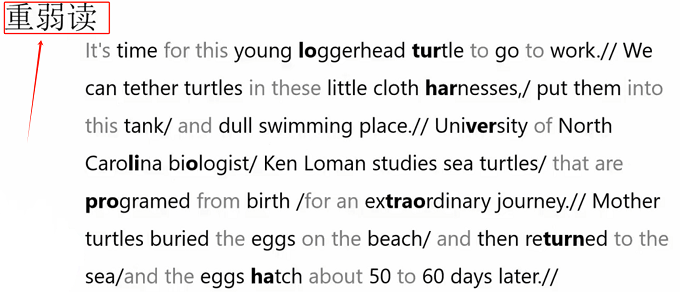 PTE口语RA讲解：Sea turtles