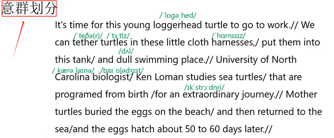 PTE口语RA讲解：Sea turtles