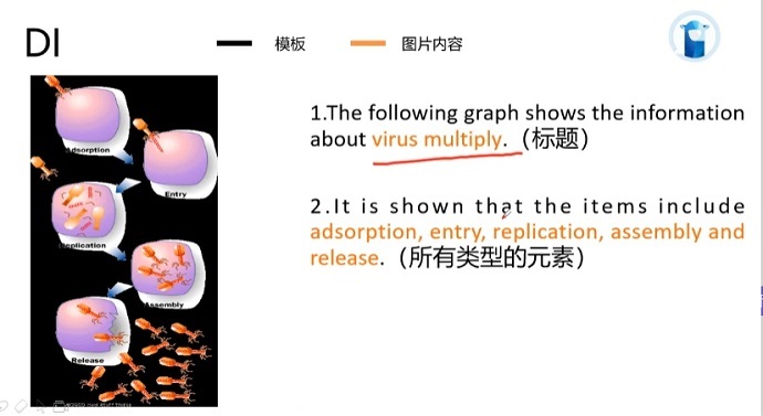 PTE口语DI例题Virus Multiply的框架资料的讲解示范