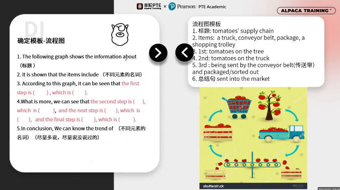 PTE描述图片DI流程图模板