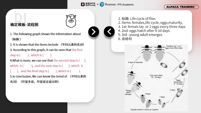 PTE口语DI流程图模板