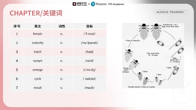 PTE口语DI流程图例题关键词提取