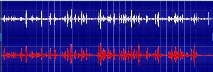 PTE口语RA音频轨道