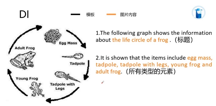 PTE口语DI例题Life cycle of a frog V2的框架资料的讲解示范