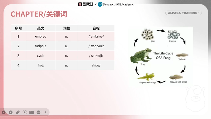 PTE口语DI流程图例题关键词