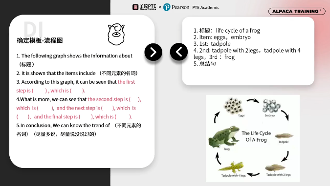 PTE口语DI流程图模板