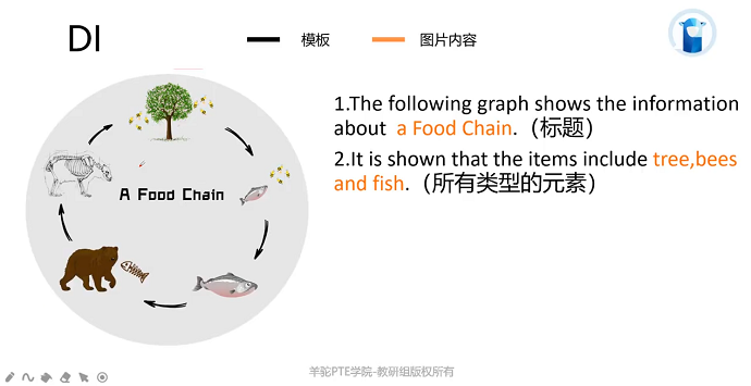 PTE流程图食物链模板1