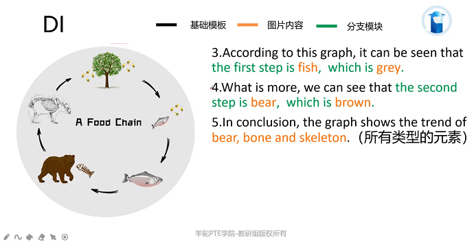 PTE流程图食物链模板2