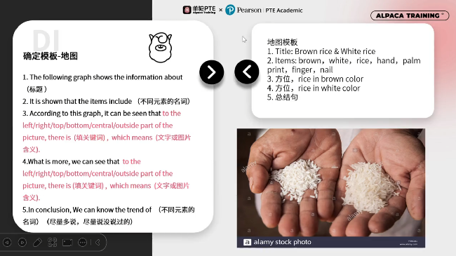 PTE饼状图语言架构