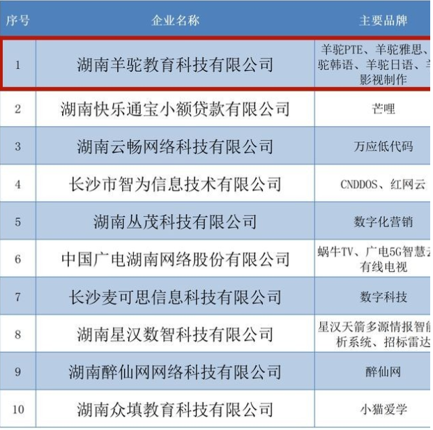 羊驼教育入榜“2022年湖南省互联网成长型企业10强”