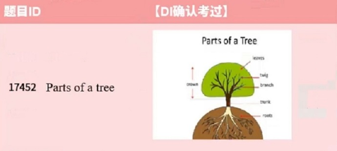 2024年6月26日PTE考试预测题每日更新来了