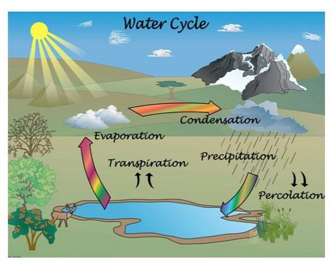 PTE口语DI例题Water cycle原图    