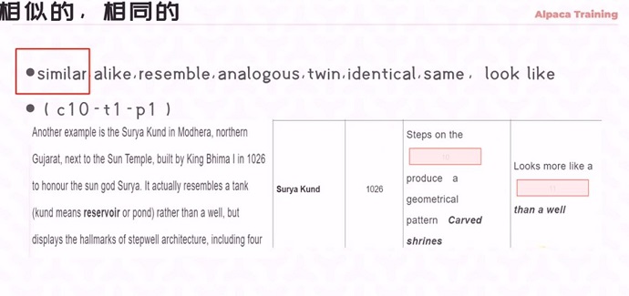 雅思阅读考点词similar讲解