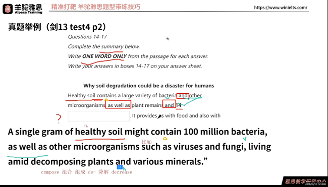 羊驼雅思剑雅13阅读填空题讲解视频