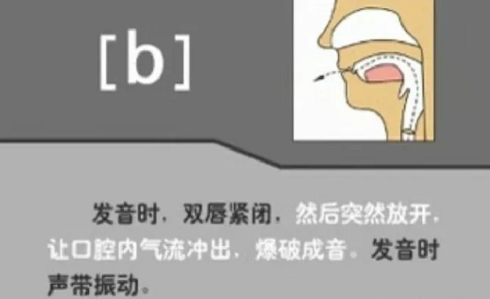 [b] 的发音示范