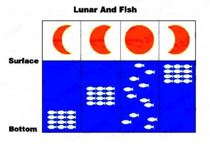 PTE口语DI非常规图Lunar and fish考试原图