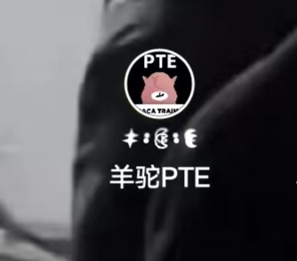 pte背单词软件推荐